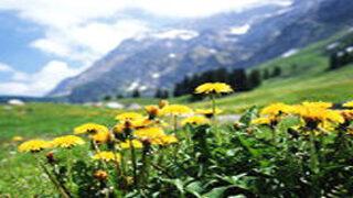 Yüksek rakımlı yaylalara çıkarken dikkat