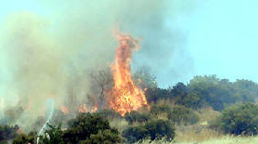 Milas ve Didim'de orman yangını