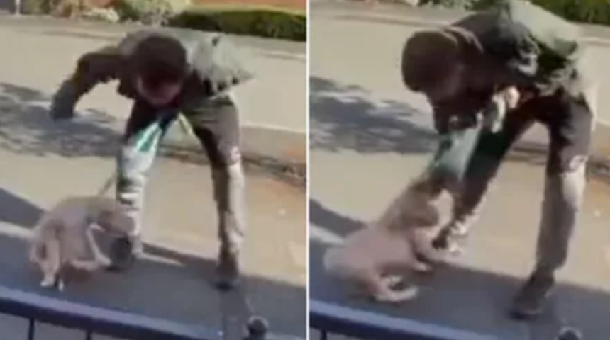 Yürümeyi reddeden köpeğine sokak ortasında işkence yaptı! Tasmasından sürükledi... Yetmedi defalarca tokat attı