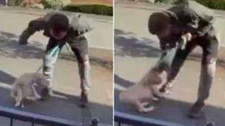 Yürümeyi reddeden köpeğine sokak ortasında işkence yaptı! Tasmasından sürükledi... Yetmedi defalarca tokat attı