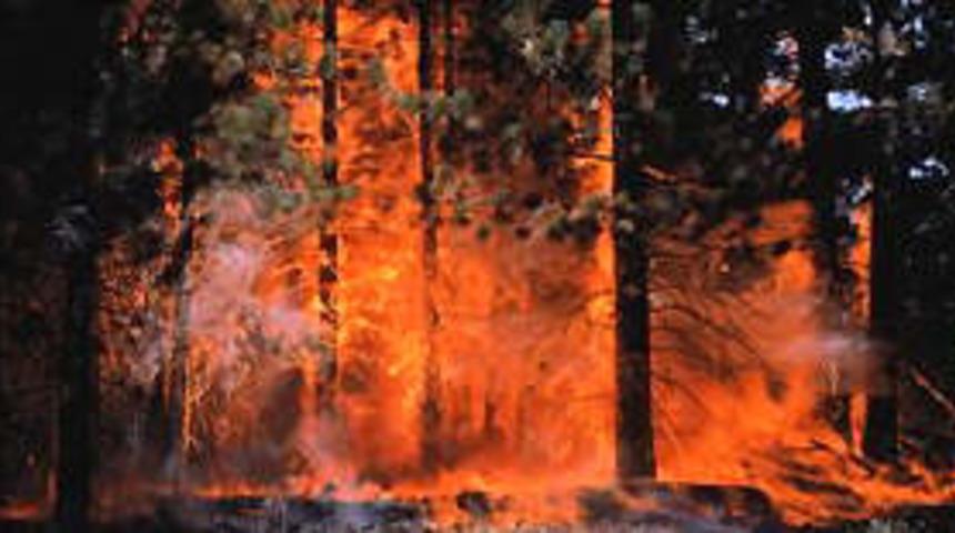 Antalya'da orman yangını