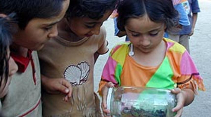 Yaz boyunca 800 kişiyi akrep soktu