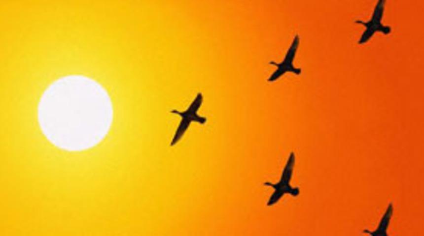 G&uuml;neş'te son yılların en b&uuml;y&uuml;k patlaması 