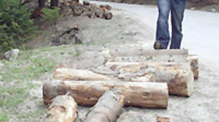 Uludağ gen&ccedil;leşiyor