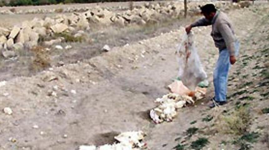 &Ouml;l&uuml; g&uuml;vercinde kuş gribi vir&uuml;s&uuml;