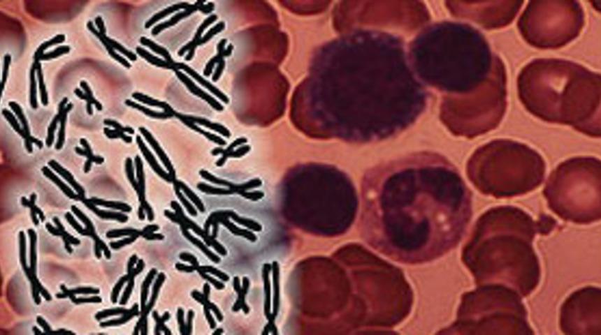 Kısırlıkla bağlantılı molekül bulundu 