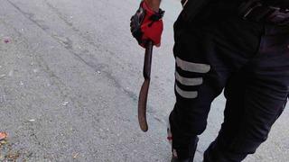 Sevgilisini taciz eden kişiyi satırla yaraladı, sözleri dehşete düşürdü! 'Yarım kalan işi tamamlayacağım'