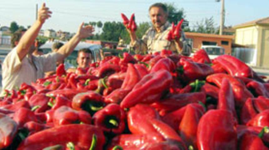 Kırmızı acı biber ağrılara iyi geliyor