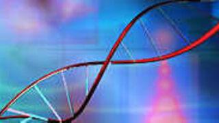 Bitkilerin de parmak izi alınıyor