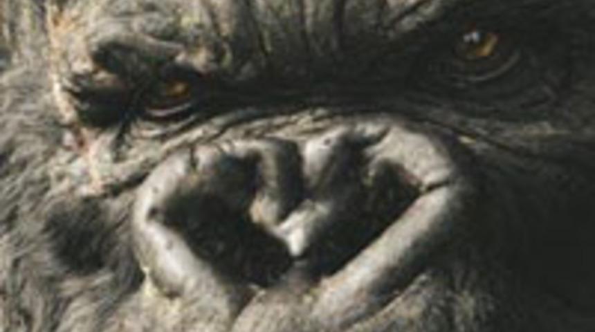 Yeni King Kong en pahallı 6. filmi