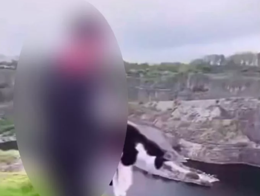 Kediyi uçurumdan attığı anları saniye saniye kaydedip paylaştı 