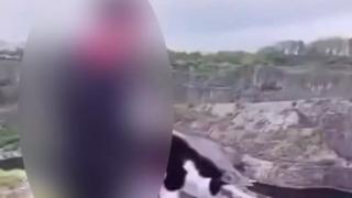 Skandal görüntüler! Kediyi uçurumdan aşağıya attığı anları saniye saniye kaydedip paylaştı 