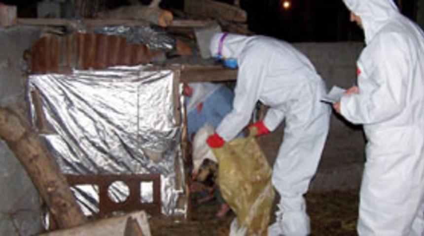 "Kuş gribi"ne gece operasyonu