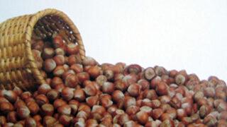 Fındığı dişle kırmak zararlı