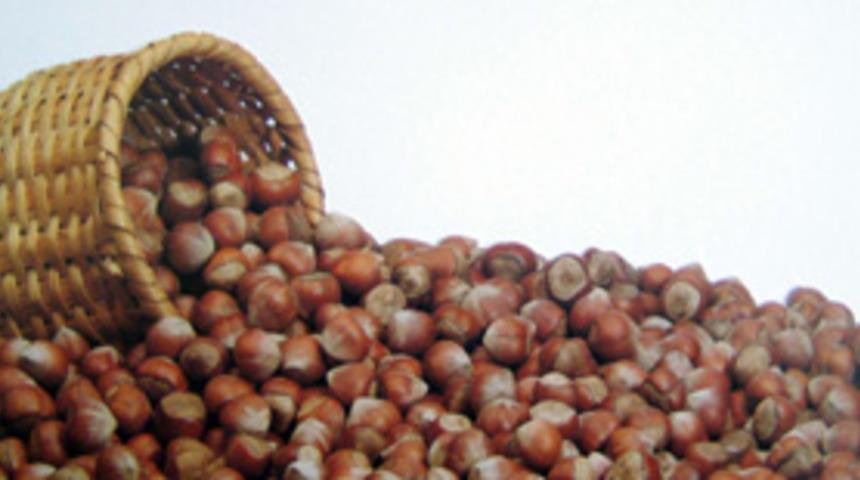 Fındığı dişle kırmak zararlı