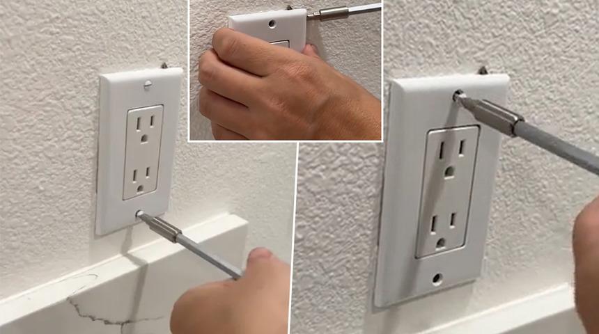 Evinin duvarındaki prizi çıkartınca gördüklerine inanamadı! “Orada resmen yeni bir hayat alanı oluştu”