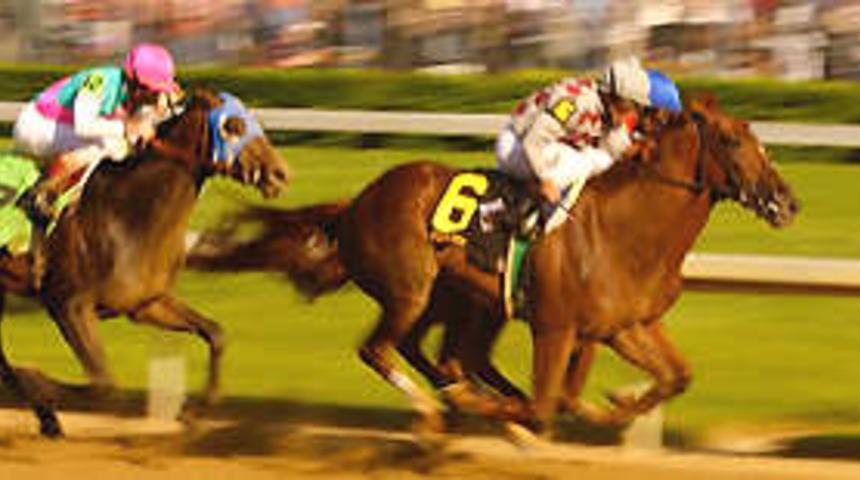 79. Gazi Koşusu yarın koşulacak