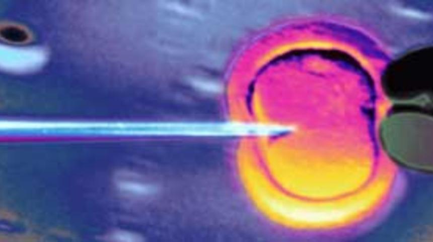 'K&ouml;k h&uuml;cre uygulamaları tedavi y&ouml;ntemi'