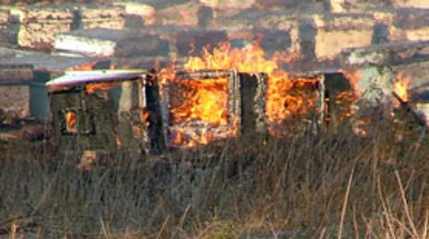 Marmaris'te binlerce arı telef oldu