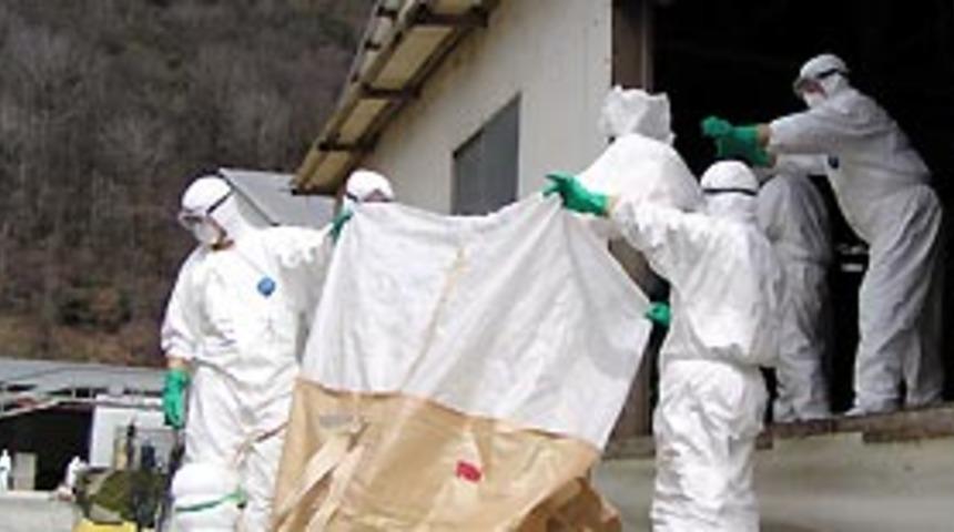 Kuş gribi en k&ouml;t&uuml; grip vir&uuml;s&uuml;