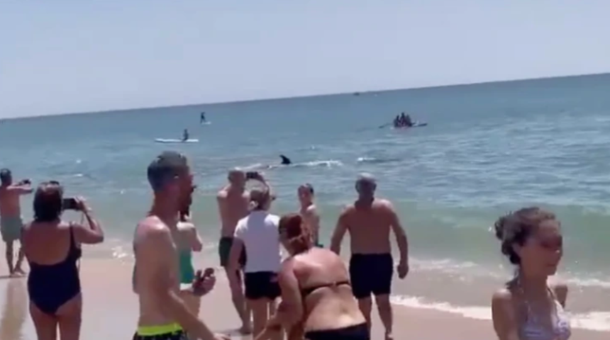 İspanyol sahilinde korku dolu anlar! Önce koşarak uzaklaştılar sonra gören telefonuna sarıldı