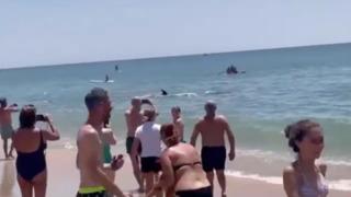 İspanyol sahilinde korku dolu anlar! Önce koşarak uzaklaştılar sonra gören telefonuna sarıldı