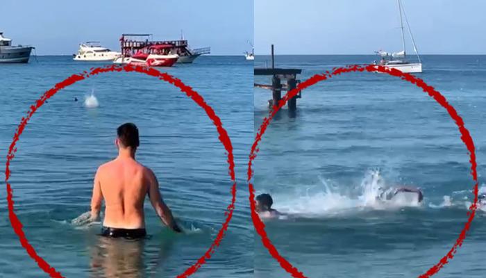 Köpek balığı sanıp taşladılar, gerçek çok başka çıktı! Antalya’da deniz kıyısında panik anları: Apar topar sudan çıktılar