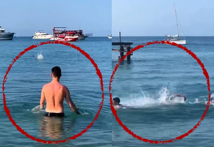 Köpek balığı sanıp taşladılar, gerçek çok başka çıktı! Antalya'da deniz kıyısında panik anları: Apar topar sudan çıktılar