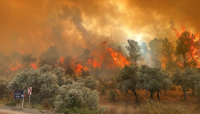 SON DAKİKA | Muğla Milas’ta dumanlar gökyüzünü kapladı! Aşırı sıcaklar için uyarılar peş peşe gelirken, orman yangını kabusu başladı