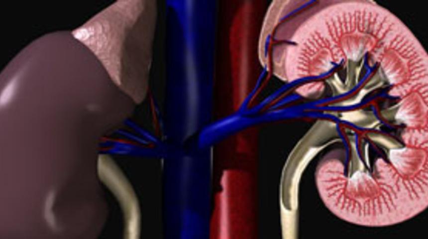 "B&ouml;brek Ticareti" yapan doktor g&ouml;zaltında