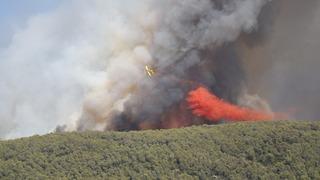 SON DAKİKA | Muğla Milas'ta dumanlar gökyüzünü kapladı! Orman yangını havadan ve karadan müdahaleyle kontrol altına alındı