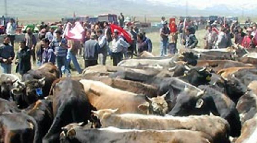 Erzurum'da k&ouml;yl&uuml;lerden ilgin&ccedil; protesto