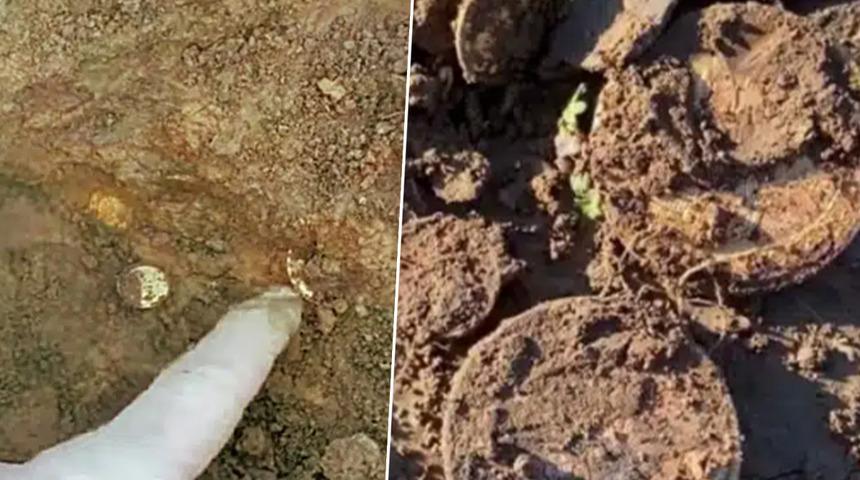 Çiftçi tarlasında servet buldu! Kazmayı vurdukça topraktan altın çıktı... Gördüklerine inanamadı