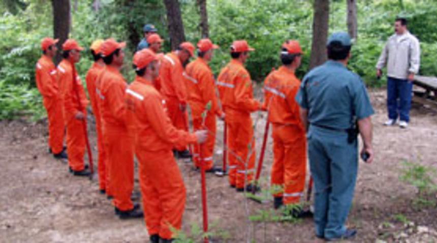 Ormanda ka&ccedil;ak kesim operasyonu