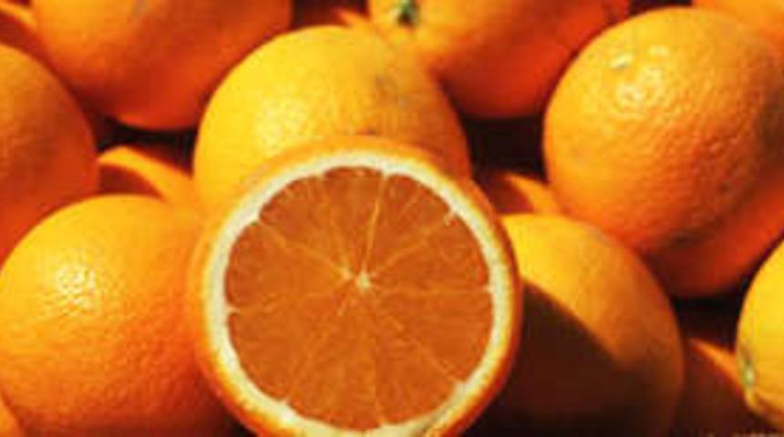 Narenciye kabuğunu ithal ediyoruz