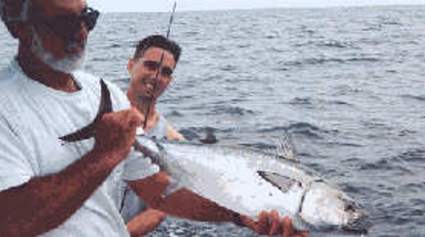 &Ccedil;anakkale'de palamut bolluğu