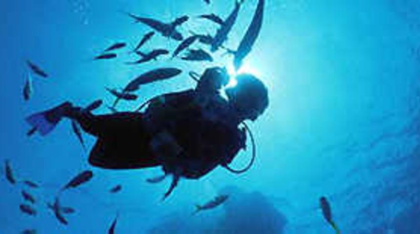 10 parmağında 10 marifet