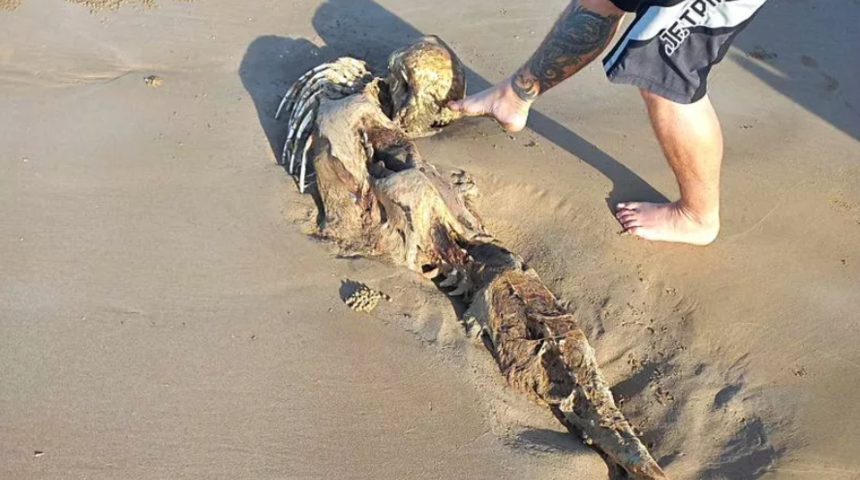 Sahilde bir anda karşısına gizemli bir iskeletin parçaları çıktı! Sosyal medyadan paylaşınca gündem yarattı