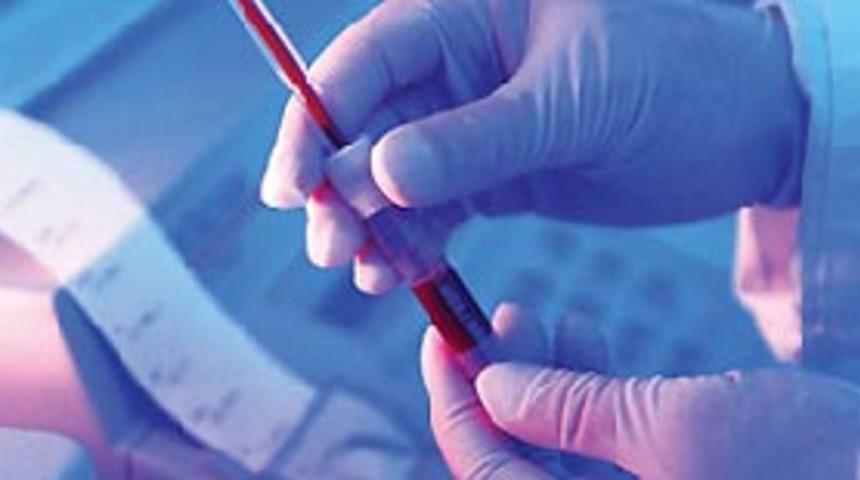 K&ouml;k h&uuml;cre &ccedil;alışmasında sahtekarlık