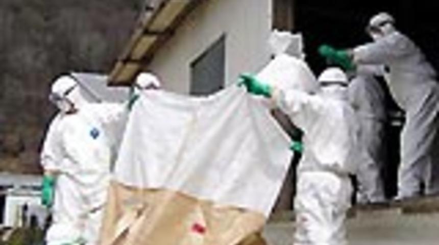 K&uuml;tahya'da kuş gribi paniği