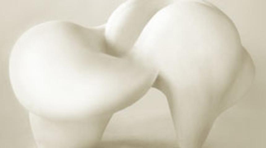 ABD'li baba-oğuldan sergi