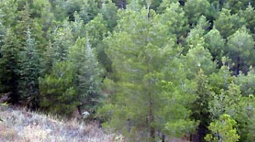 Topraklarımız elden gidiyor