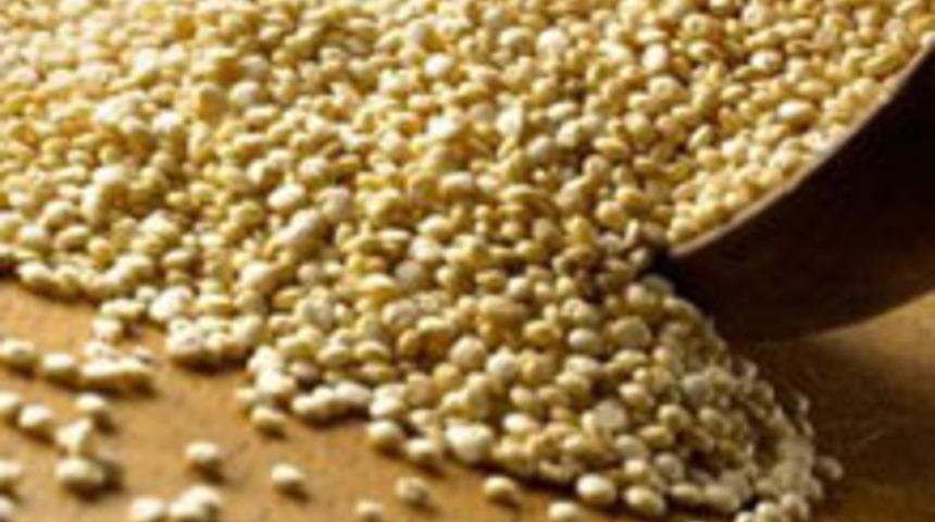 Kinoa İle İncenik Olalım