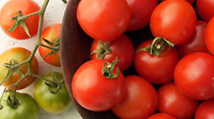 Kansere karşı domates