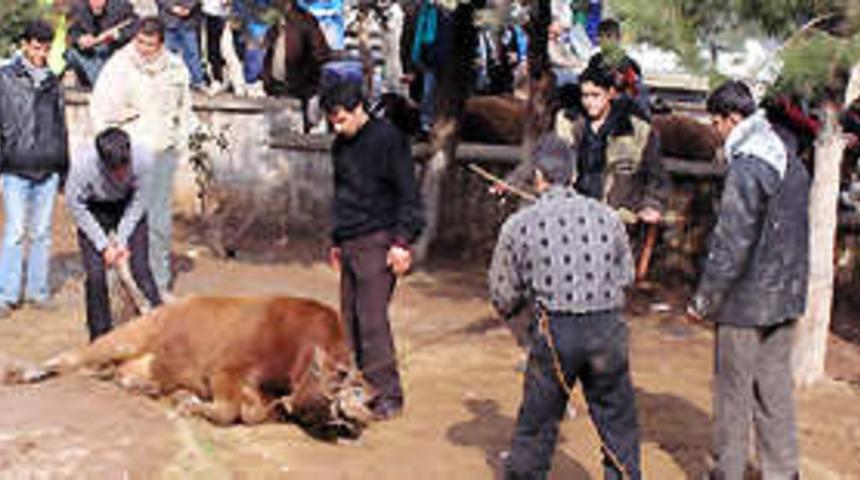 Kurban kesimi i&ccedil;in yeni tedbirler