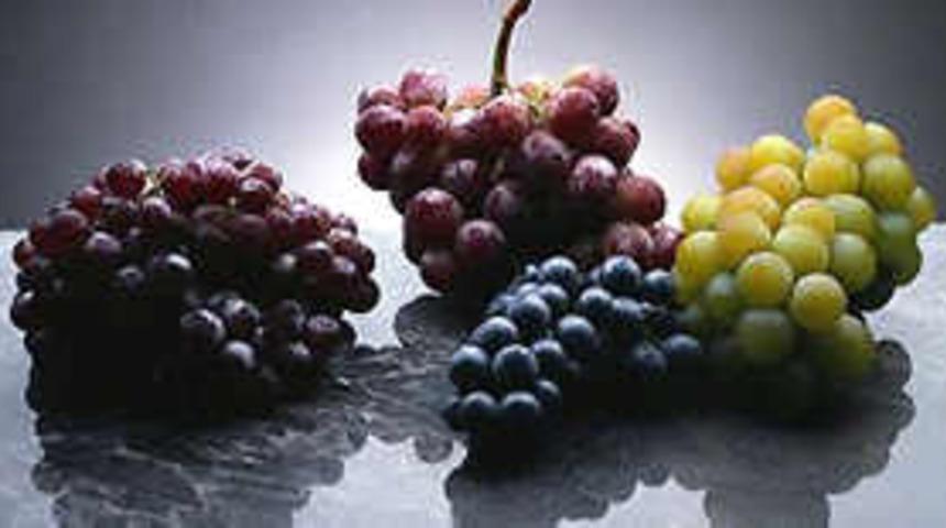 Şifa kaynağı üzüm
