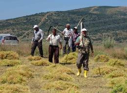 Aylıkları 30 bin liraya geliyor! Sayıları her geçen gün azalıyor... 'Bizden başka kalmadı, 7-8 kişi kaldık'