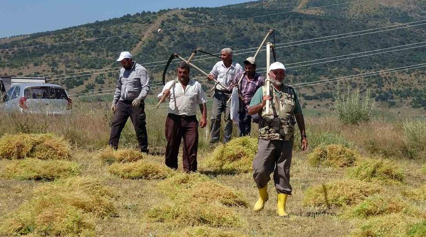 Aylıkları 30 bin liraya geliyor! Sayıları her geçen gün azalıyor... 'Bizden başka kalmadı, 7-8 kişi kaldık'