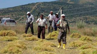 Aylıkları 30 bin liraya geliyor! Sayıları her geçen gün azalıyor... 'Bizden başka kalmadı, 7-8 kişi kaldık'