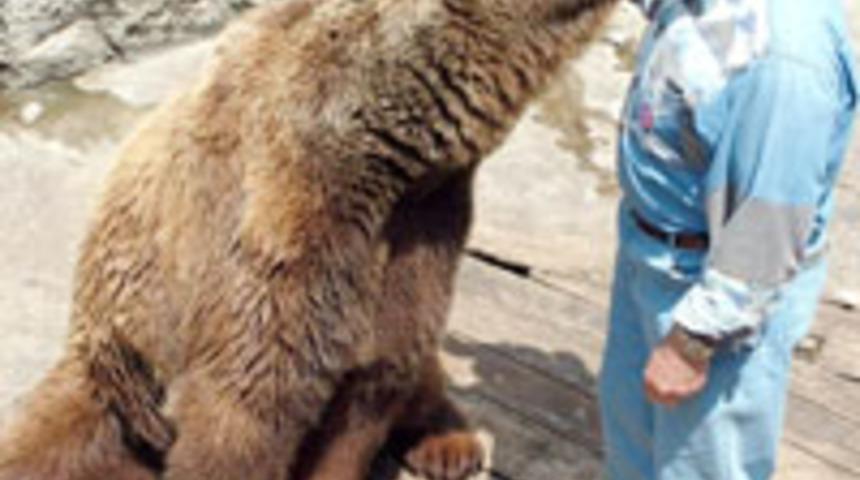 Ayı Buba ile sahibinin duygusal buluşması